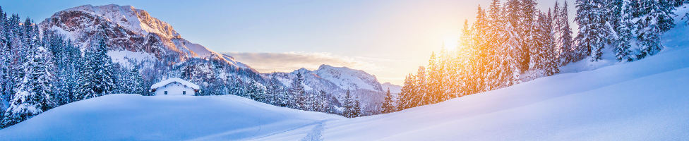 Bayerischer Wald