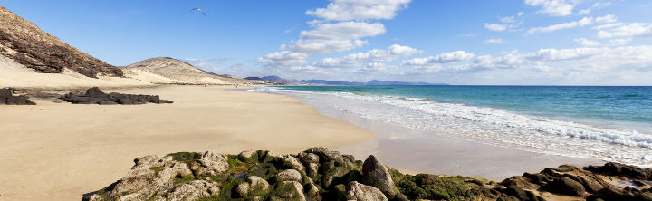 Angebote auf Fuerteventura