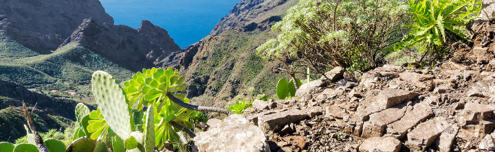 Last Minute Deal La Gomera