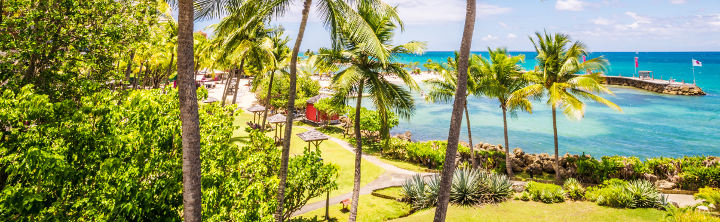 Last Minute Guadeloupe zu Schnäppchenpreisen!