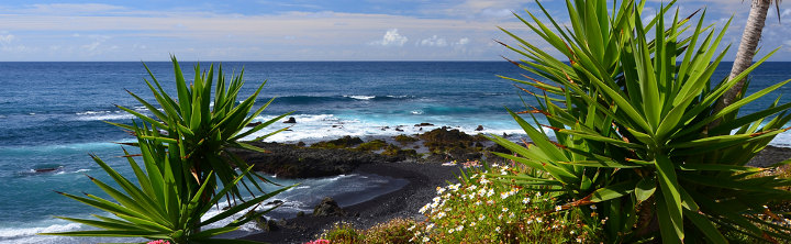 Puerto de la Cruz